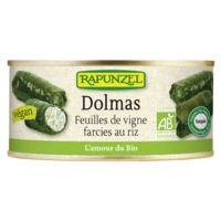 Dolmas - feuilles de vigne farcies au riz en conserve, projet Turquie
